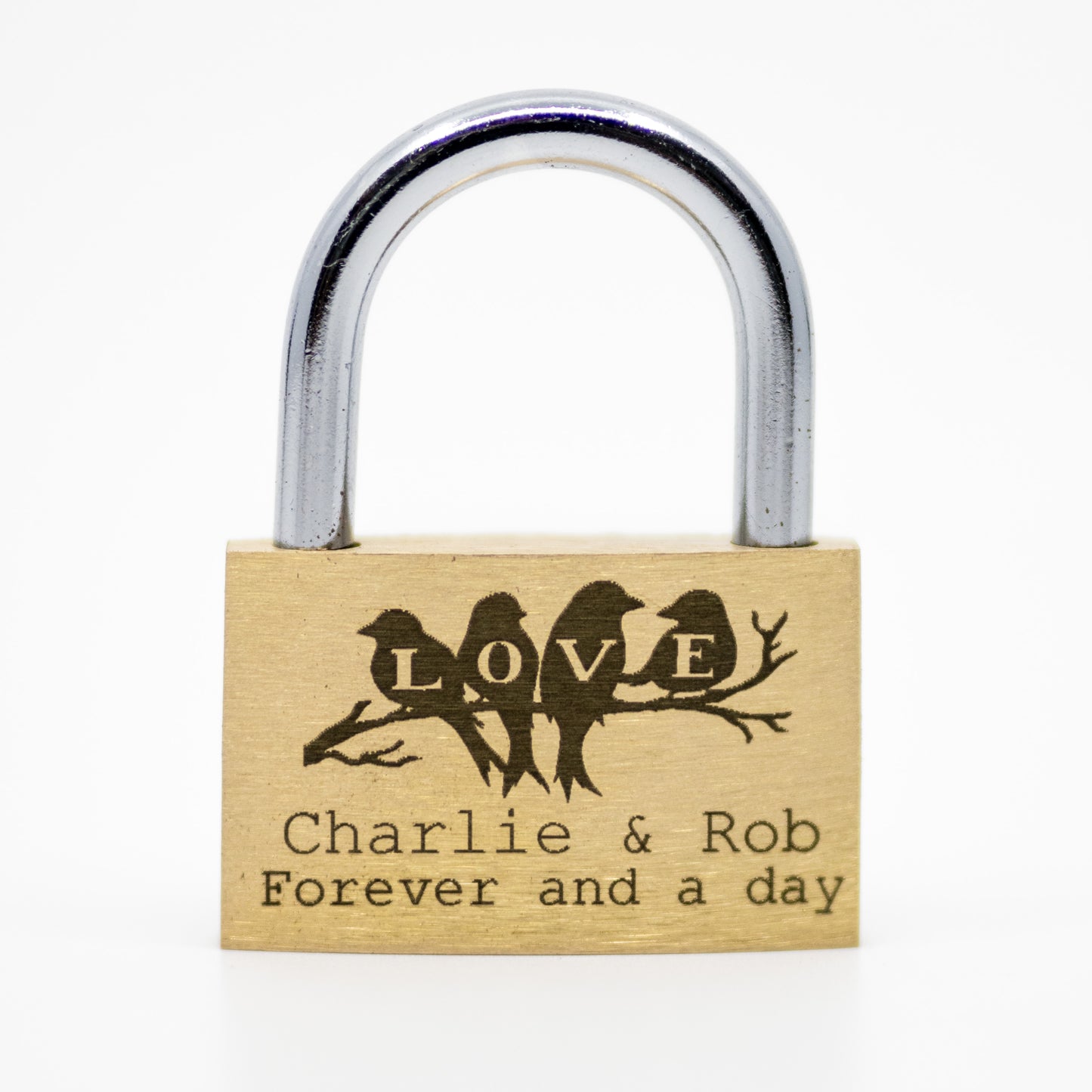 Birds Love Lock